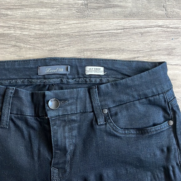 Level 99 Lily Crop Skinny Straight Jeans - Picture 3 of 7